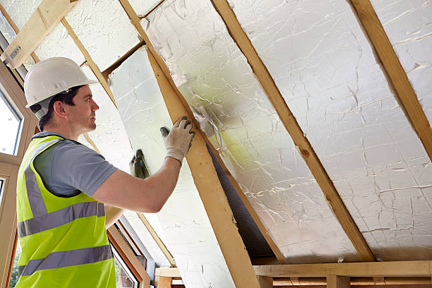 Types of Insulation We Offer in Blaine, WA